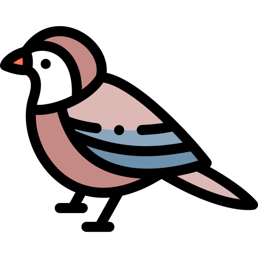 Aves